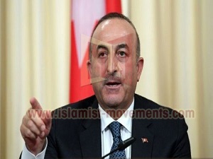 وزير الخارجية التركي: