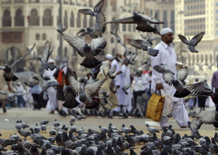 الدين والسياسة الدولية