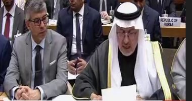 السعودية تتبرع بـ