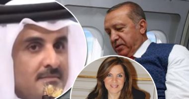 اليمن.. تفكيك شبكة