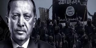 باحثة سياسية: أردوغان