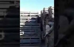 الحرة.. 20 ألف صاروخ