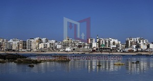 4 قتلى من الجيش والقوى