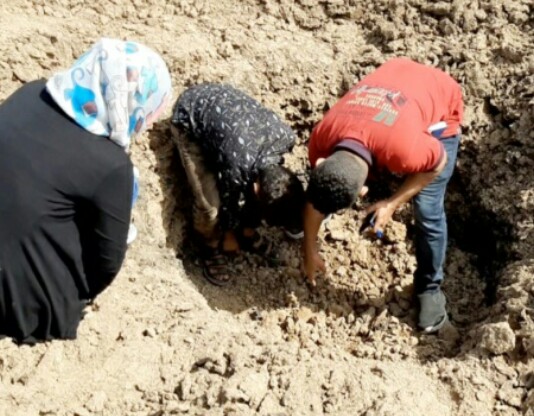 الحوثي يروّع تعز