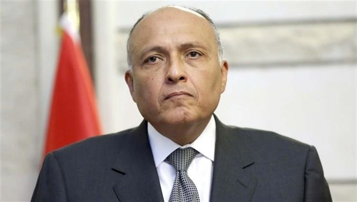 شكري: تصريحات أردوغان