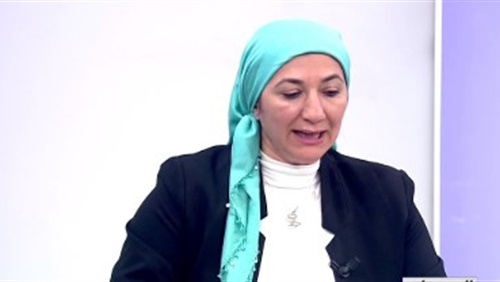 غادة نجيب: كبار الإخوان