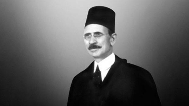 رأى لطفى السيد باشا