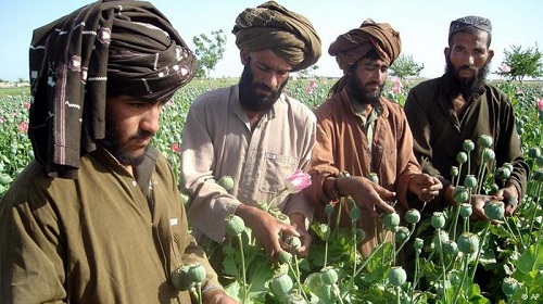 دويتشه فيله: المخابرات
