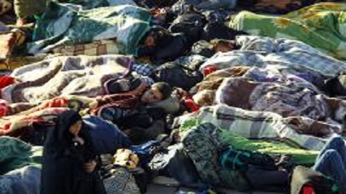ملايين الشيعة يحيون