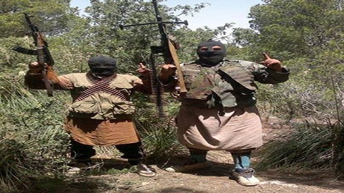 كتيبة عقبة بن نافع..