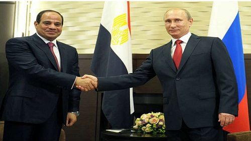 إطلالة على العدد