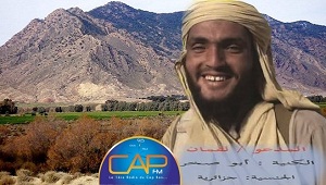 نشأة التنظيم