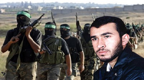 عماد عقل