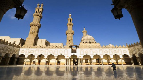 إطلالة على العدد