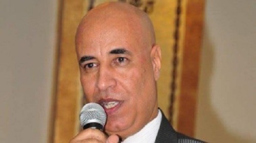عادل حنفي نائب رئيس